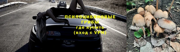 винт Абинск